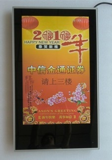 26