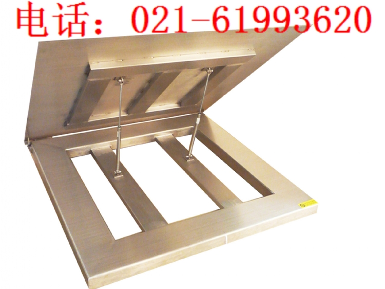 100ӣscs-1