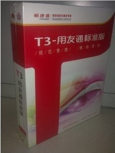 ֣T3һ廯