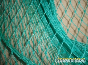 (YF-005)