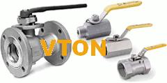 ڲ(VTON)
