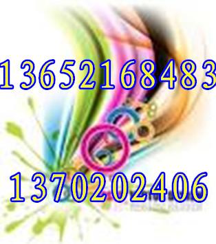 ƬƷ˵