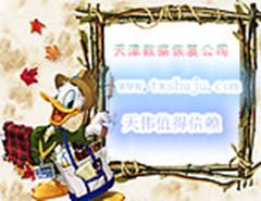 ݻָ֮ڴ濨ָ
