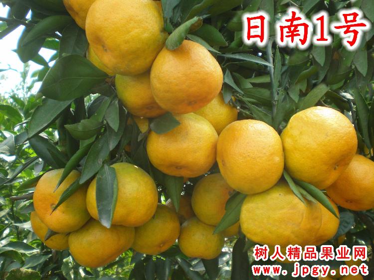 1(һ)