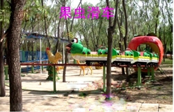 滬ֱ