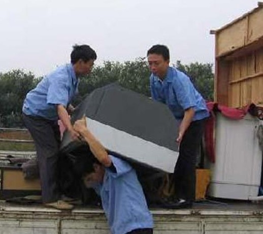 豸˹˾
