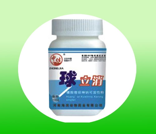 Ĵ没ʲô?