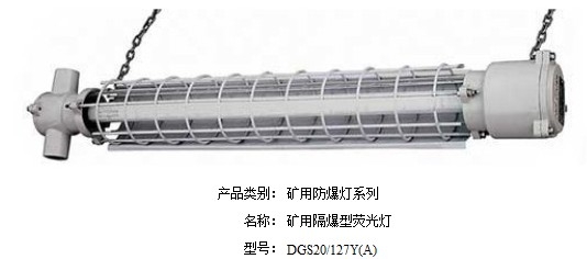 ӫDGS20-127Y