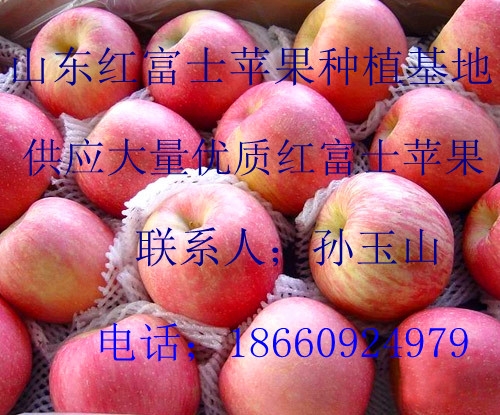 ɽ츻ʿ۸Ϣ۸