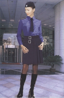 ѡηµĶݸ³