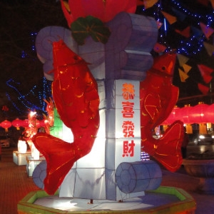 ڻ(ڻ)