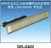 2402#˹ȼ