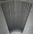 A082ֺ