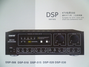 ˹DSP510