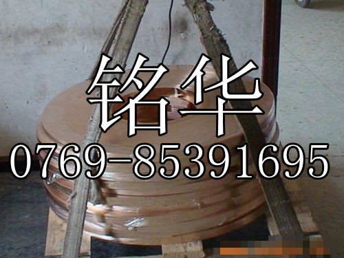 C5102ձͭ