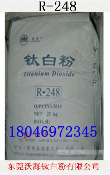 R-248ʸѰ׷