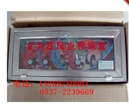 ZH30ʽѧԾ