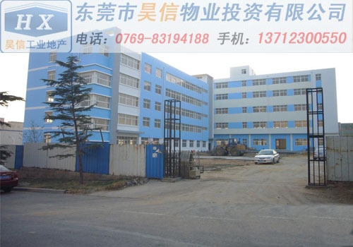 谢岗企石厂房出租精致A级特级
