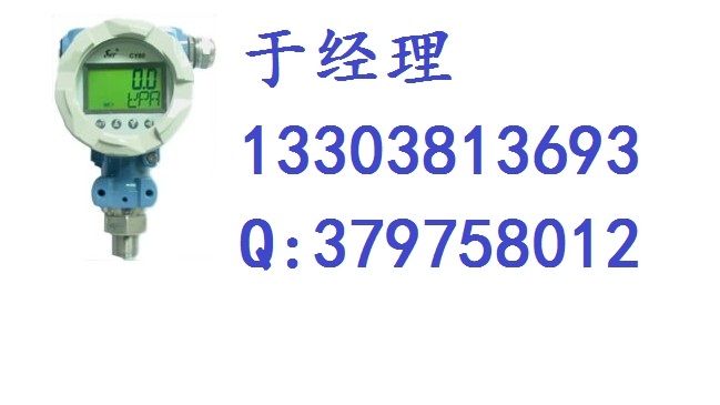 SWP-CY80ѹ