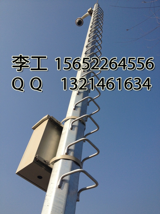 YXС˶侶