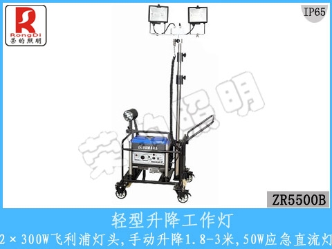 (ZR5500B)
