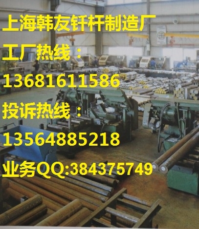 С鴸ǥǥ-ǥ-鴸