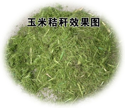 ոӦ