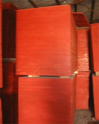 ģ(001)