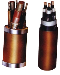 MYPõ(MYP1)