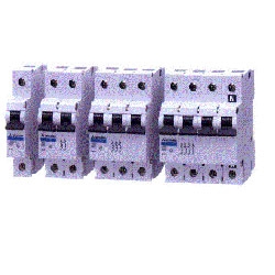 (BH-D6)