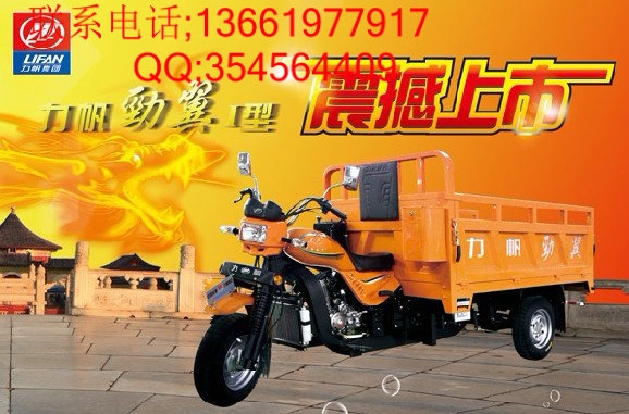 重庆力帆三轮摩托1
