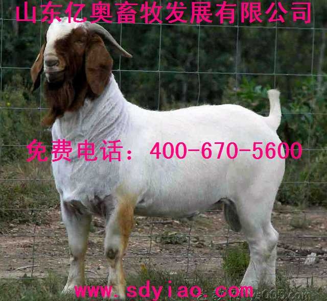 2013겨ɽг۸񲨶