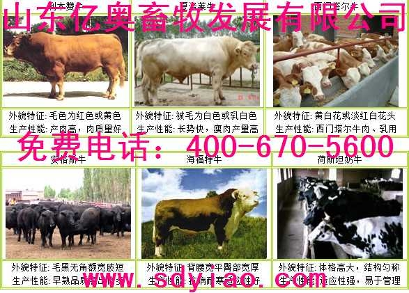2013겨ɽ۸2013