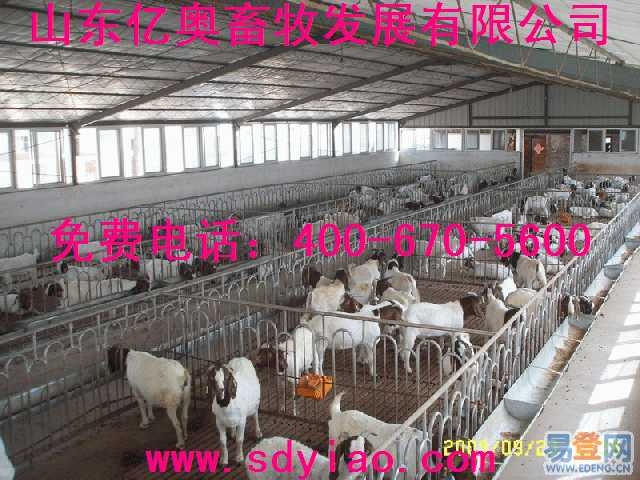 圈养羊需要哪些本设备