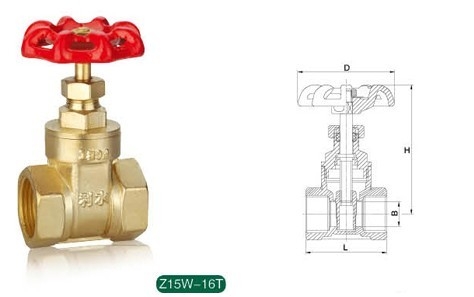 ͭբZ15W-16T