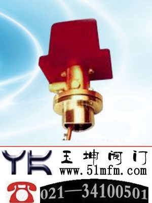 ZSJZ丝扣水流指示器