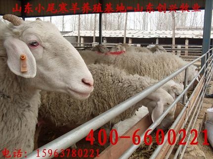 ţ׬Ǯ,Ʒǹؼ}