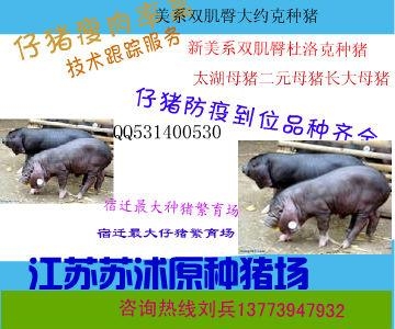 ̫ĸǮһͷ