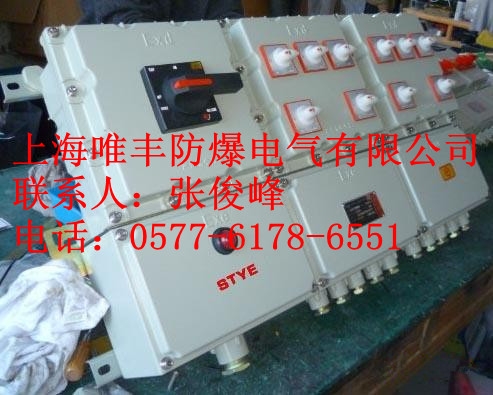 BXD51-8K