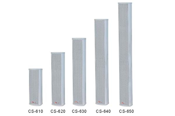 (CS-610)