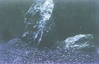 ظ4(ظ4)