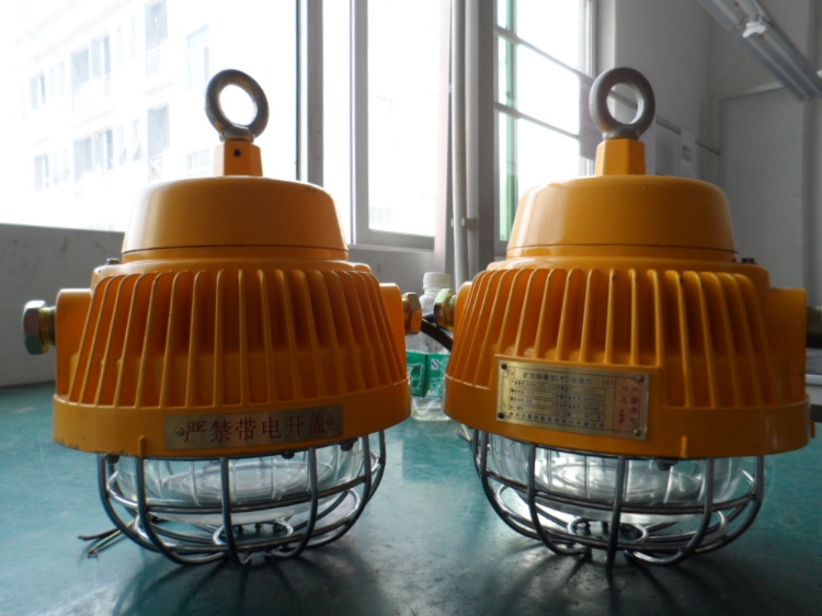 LED(DGS12/127L)