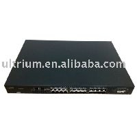 IBM2498-B24
