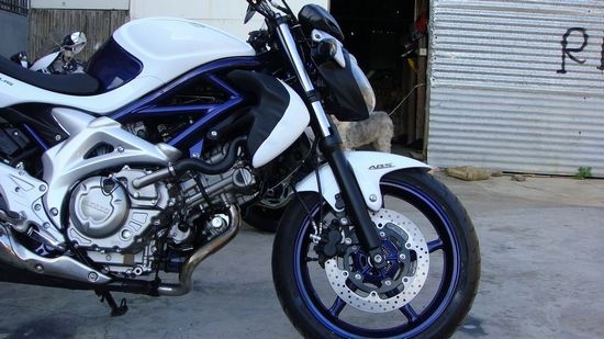 ľV650Ħг