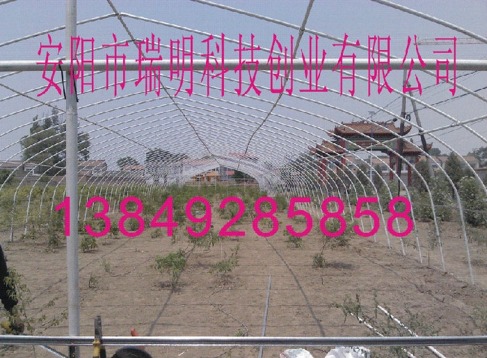 һֲֽ߲ṹ