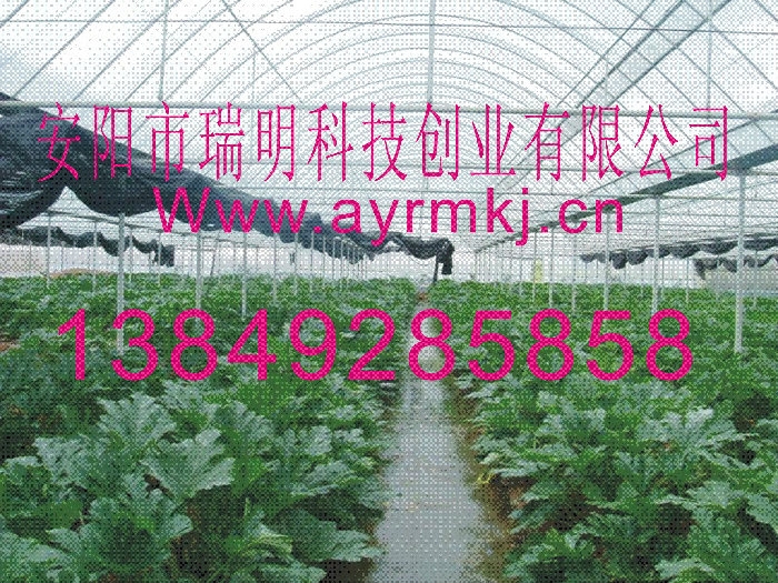 һ߲˴Ǽ