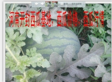 飨Ͽϣ