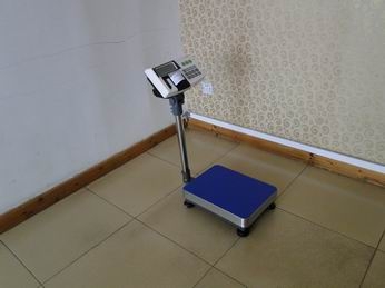30ӡƽ̨,30kg