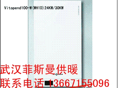 人¹˹WH1D