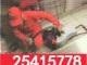 ޺Ʊܵͨ˾